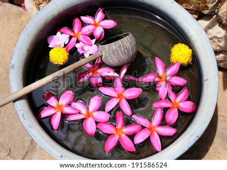 bright flowers in the water for Spa-salon