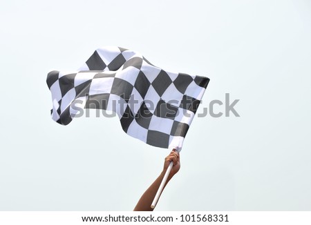 flag with hand