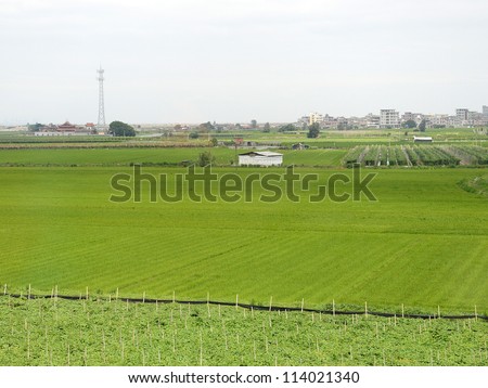 beautiful scene of Chinese village with green farm.