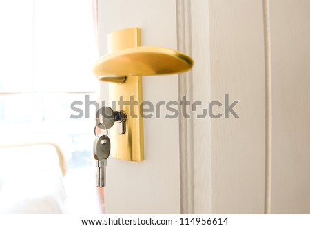 Metal key and keyring hanging from door lock