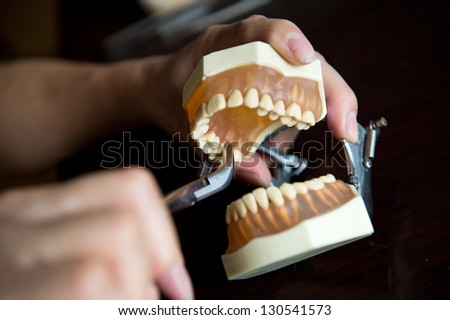 Dentist holding teeth model in his office