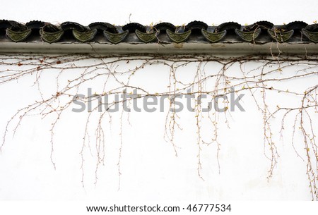 creeper plant on Chinese traditional building