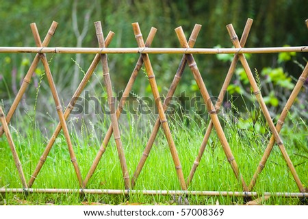 Protection from a bamboo fence in a garden.