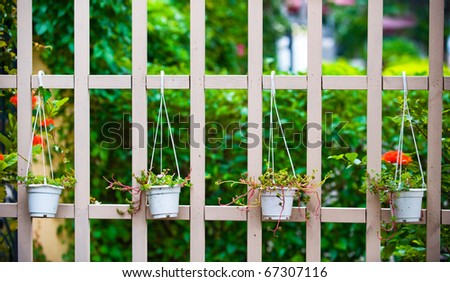 White picket fence and green plants at country house.