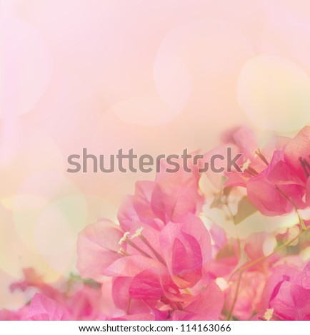 Beautiful abstract floral background with pink flowers. Border design