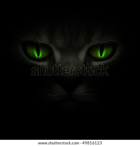 cat eyes in the dark. stock photo : Green cat#39;s eyes