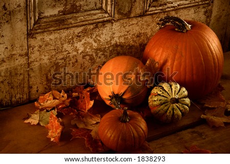 Fall harvest/ Pumpkins and gourds at the door ready for halloween/ Sepia tone