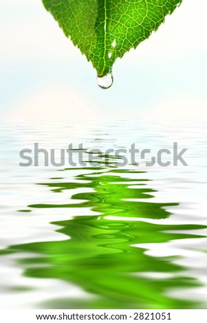 Green leaf with water droplet over water reflection