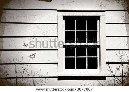 Close-up of an old window with room for text