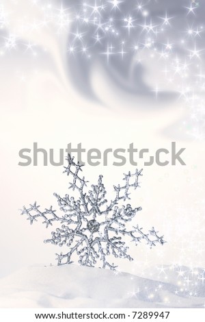 Snowflake in the snow