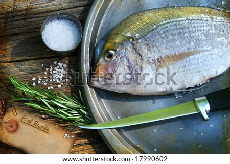 Freshly caught fish on cooking platter with sea salt and herbs