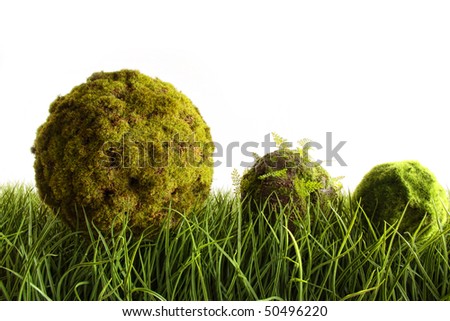 Moss covered balls laying in tall green grass