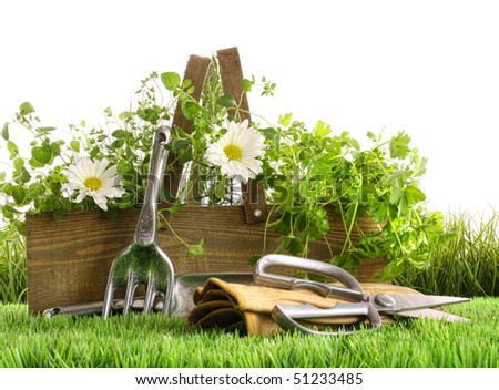 Fresh herbs in wooden box with garden tools on grass