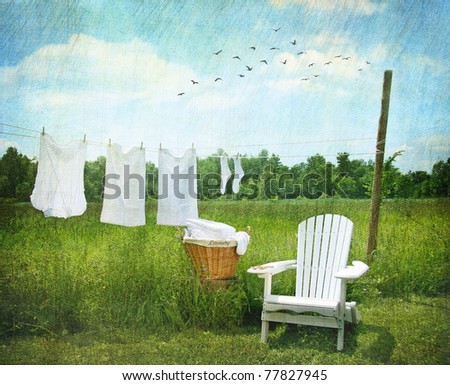 Laundry drying on clothesline on beautiful summer\'s day