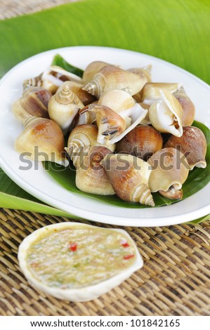 Clam foot whip with hot and spicy sauce- shellfish - shell - clam - bivalve - oyster -  mussels - scallops - thai  scallops
