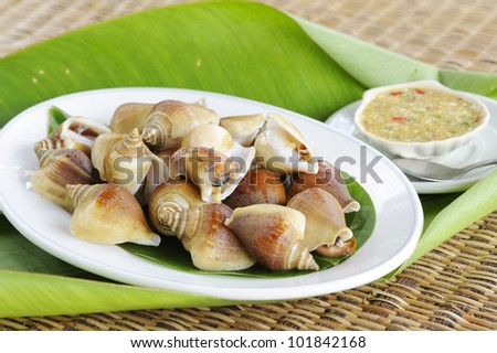 thai seafood with hot and spicy sauce - Clam foot whip - shellfish - shell - clam - bivalve - oyster -  mussels