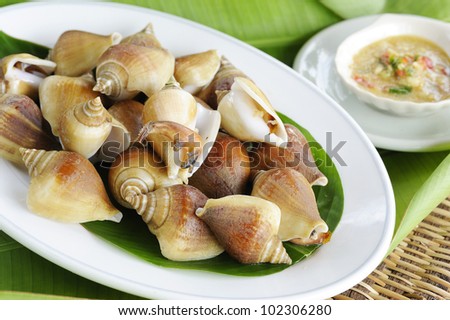 Thai seafood - Clam foot whip with hot and spicy sauce- shellfish - shell - clam - bivalve - oyster -  mussels - scallops - thai  scallops