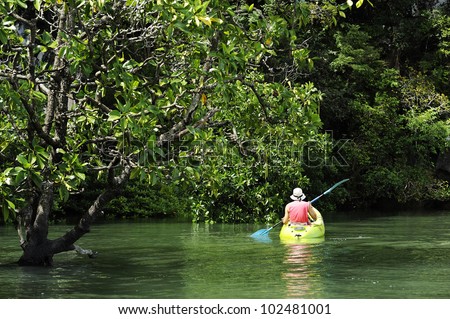 kayaking in the thai - kayaking at krabi thailand - kayaking at mangrove