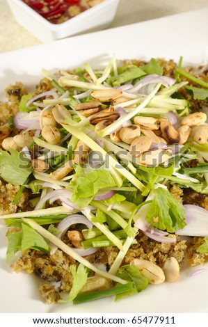 fried spicy snakehead fish salad (yum pladuk foo),yum spicy fried fish hot and sour