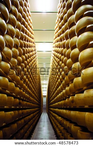 Parmigiano Reggiano cheese factory on July 2008 in Bologna, Italy.