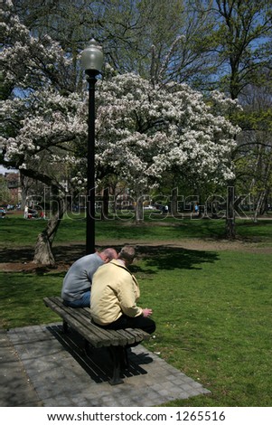 two men sitting on bench in beautiful park on spring day