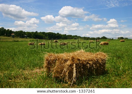 hay field landscape
