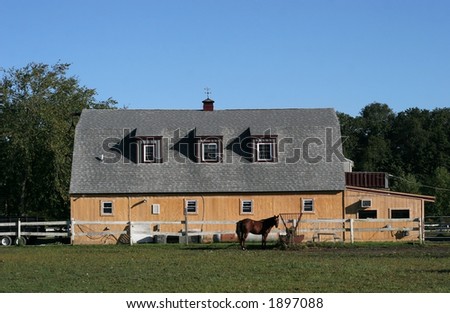 horse feeding in front of barn