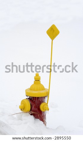 fire hydrant with metal flag in snow