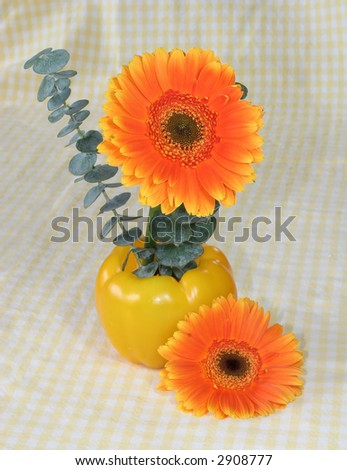 orange daisy and eucalyptus in yellow bell pepper vase