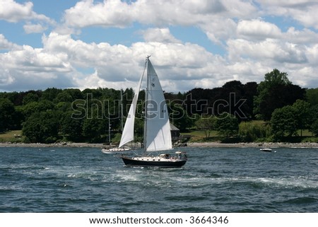 stock photo : sailboats on water on a beautiful day