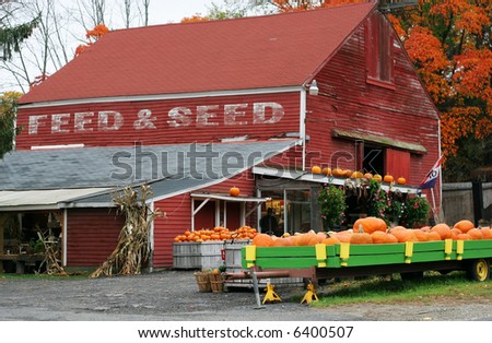 farm stand with pumpkins and flowers