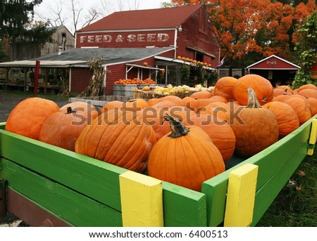 close-up of pumpkins in foreground of farm stand
