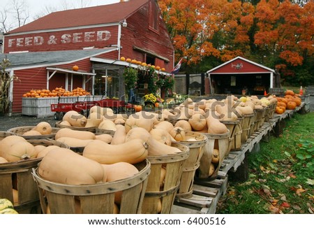 baskets of squash in foreground of farm stand