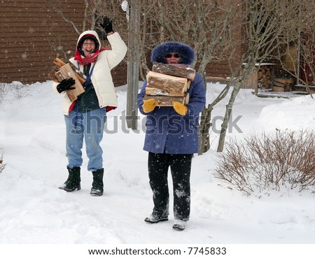 two women gathering wood in winter