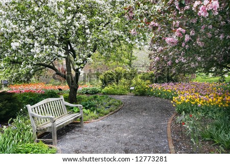 beautiful park setting with bench, flowers, trees and path