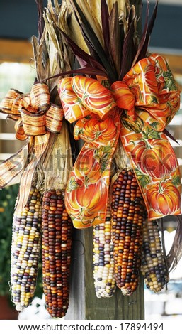 indian corn with festive bows