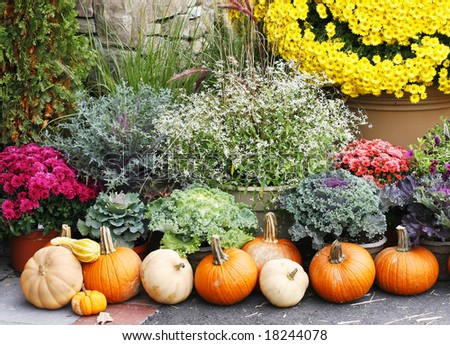 autumn display with pumpkins and fall plants