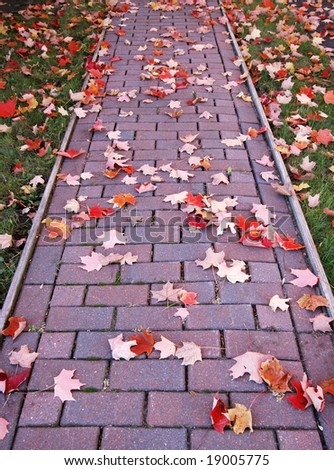 fallen autumn leaves on brick walkway and grass