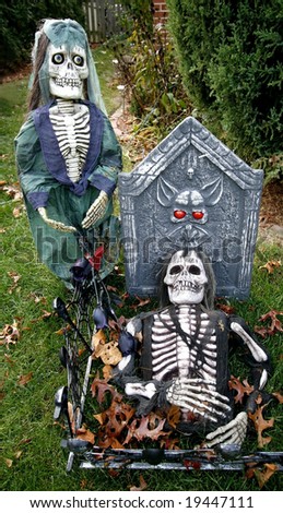 female and male skeleton in cemetery