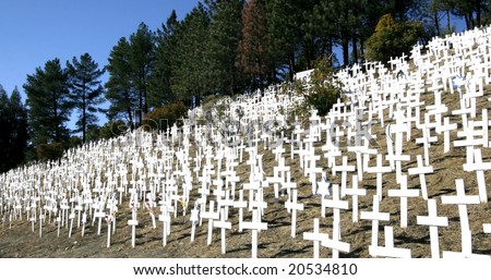 hillside filled with crosses and stars of david in memoriam to solders who died in Iraq war