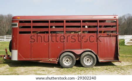 horse trailer with horses inside