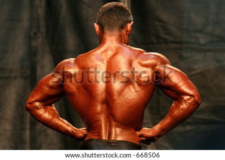 The male back