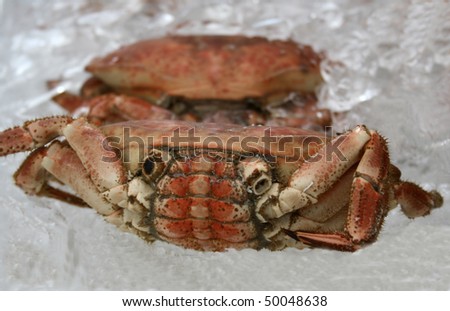Fresh crab on ice in the market