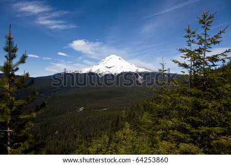 Mount Hood and a lot of forest