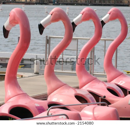 Row of Flamingo Paddle Boats at a theme Park