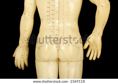 acupuncture points on human back isolated on black background