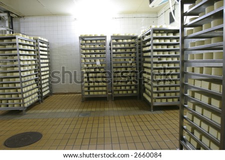cheese in cold storage in modern dairy