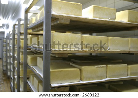 cheese in cold storage in modern dairy