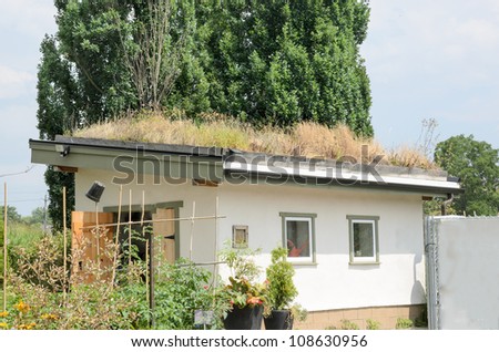 Roof garden: Grass covering roof of small building