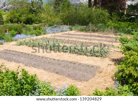 Kitchen garden in early spring with straw mulch